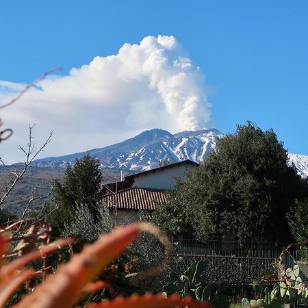 Agriturismo Etna-Mare Piedimonte Etneo Exterior photo