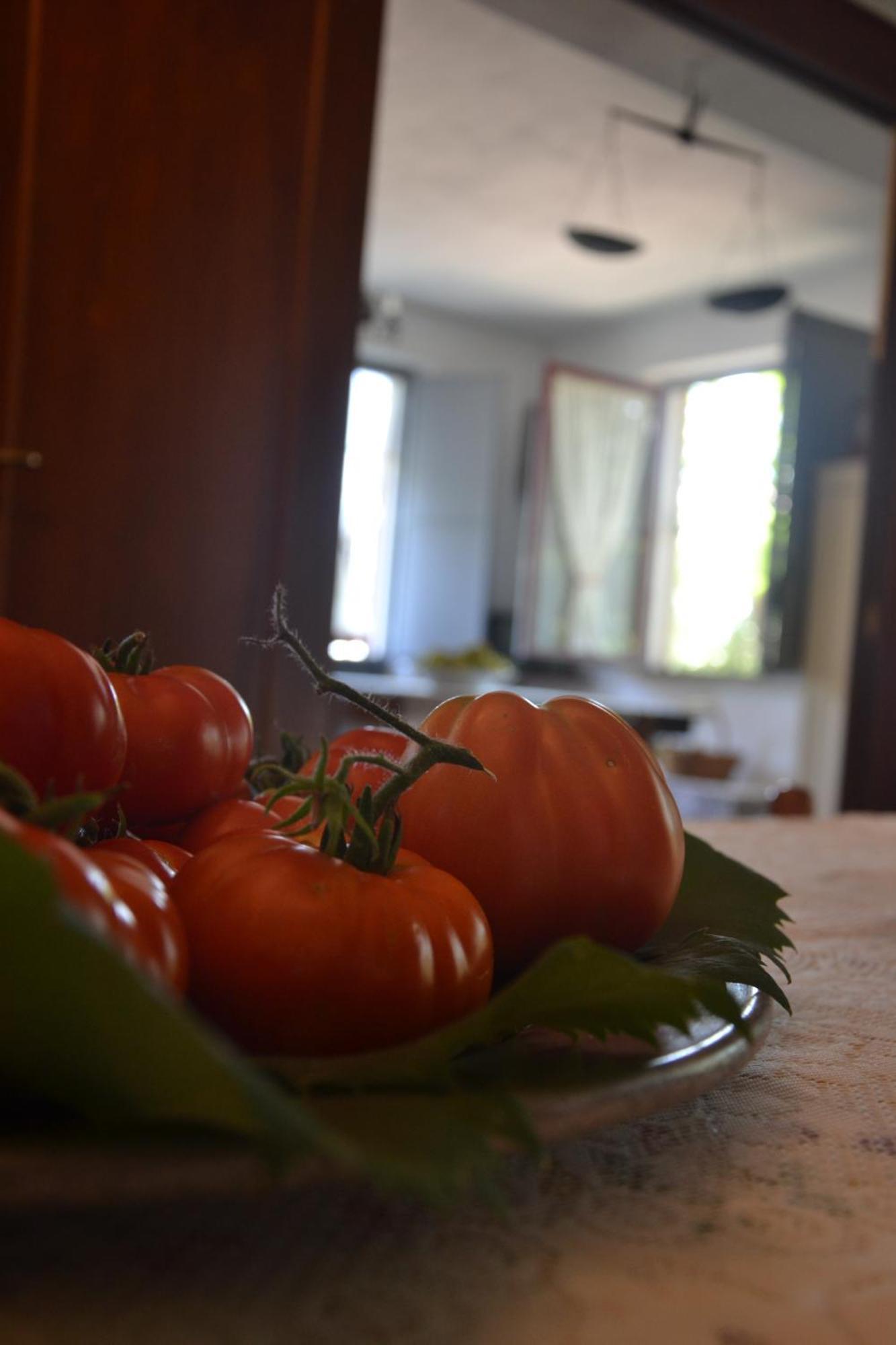 Agriturismo Etna-Mare Piedimonte Etneo Room photo
